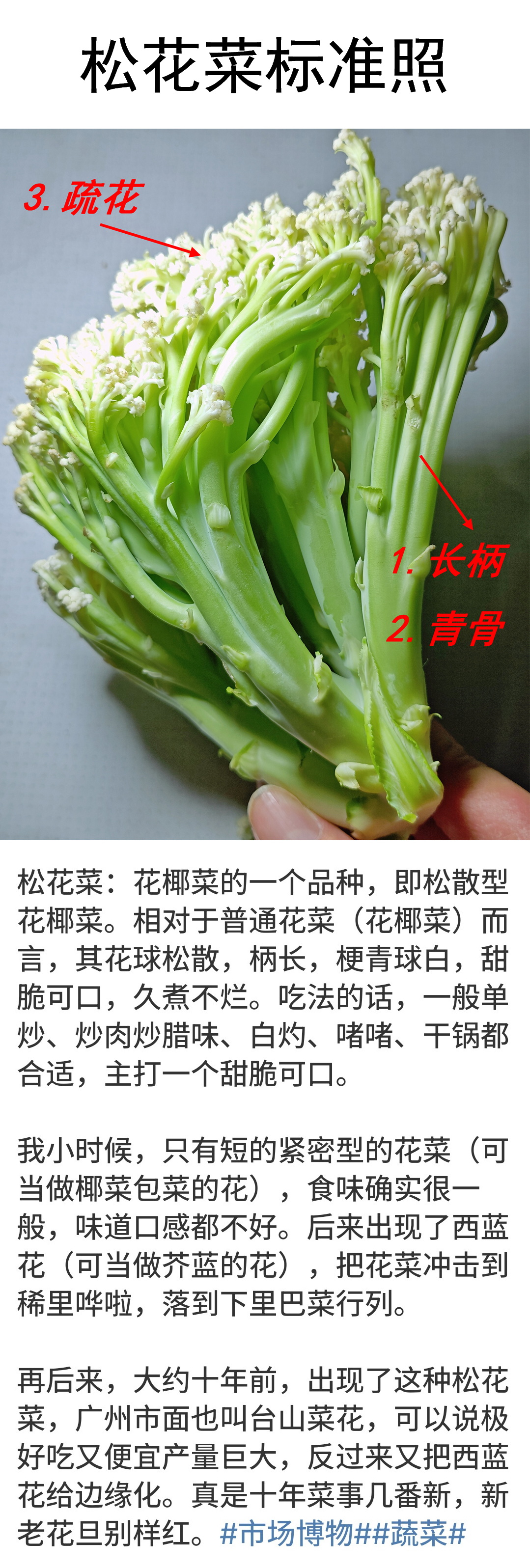 【松花菜三要点】松散型椰菜花，符合以下三个特点的，才最好吃。1、长柄，2、青骨，