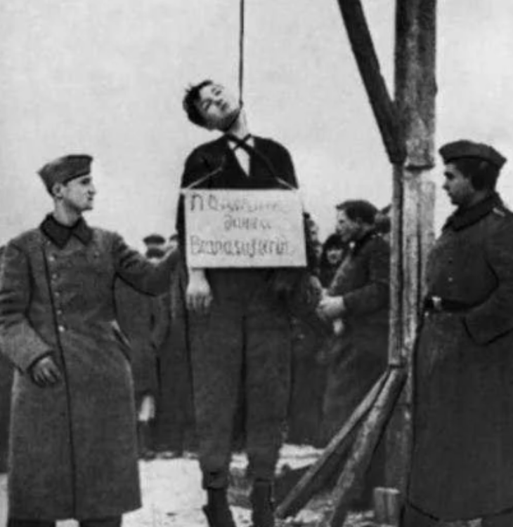 1941年11月，美丽的苏联女英雄卓娅，被挂在莫斯科郊外的绞刑架上，她的生命在纳