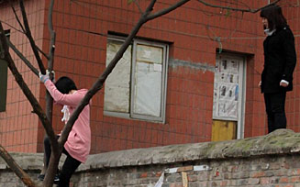 常年被家暴被放弃的混混小妹居然想跳出这个深渊，可能吗