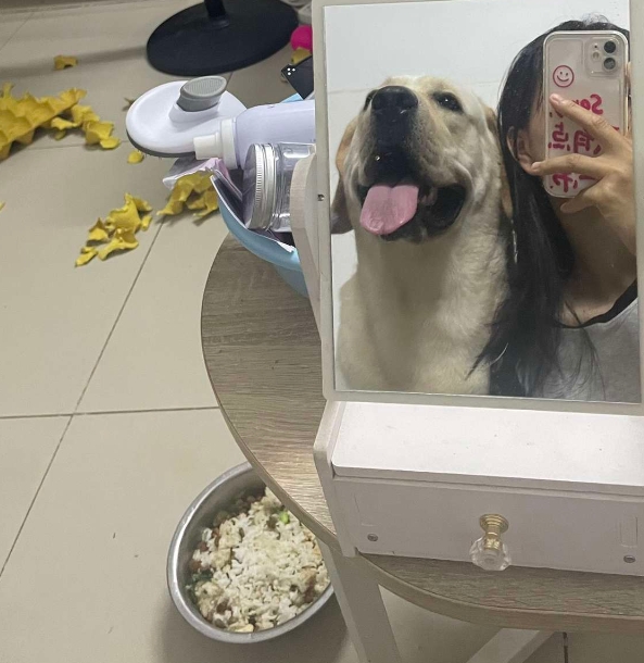 你看起来很阳光 但实际上很阴暗 你的阳光都是伪装出来的 所以你是 阳伪
