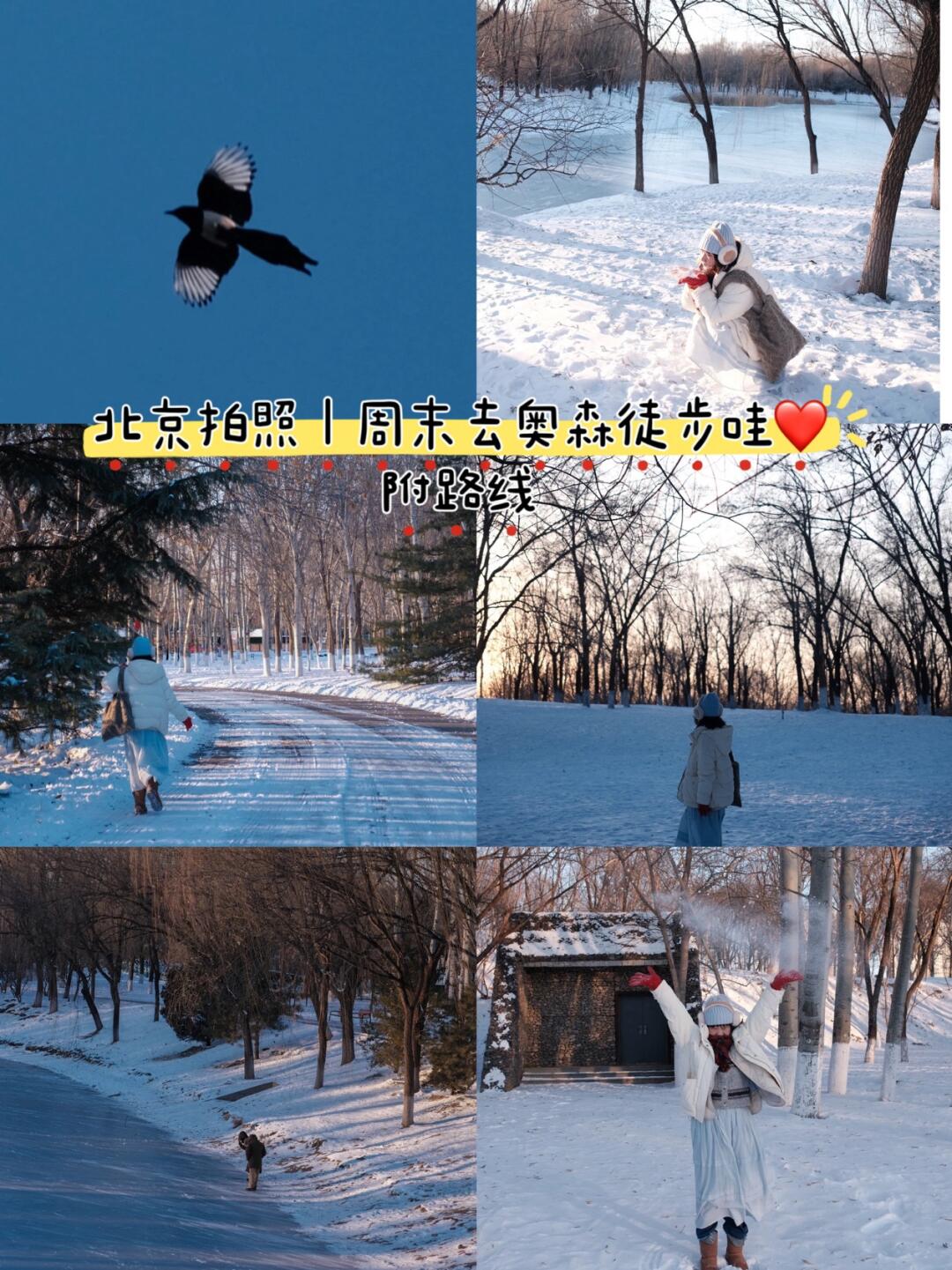 北京拍照｜周末去奥森徒步看雪哇📷❄️
