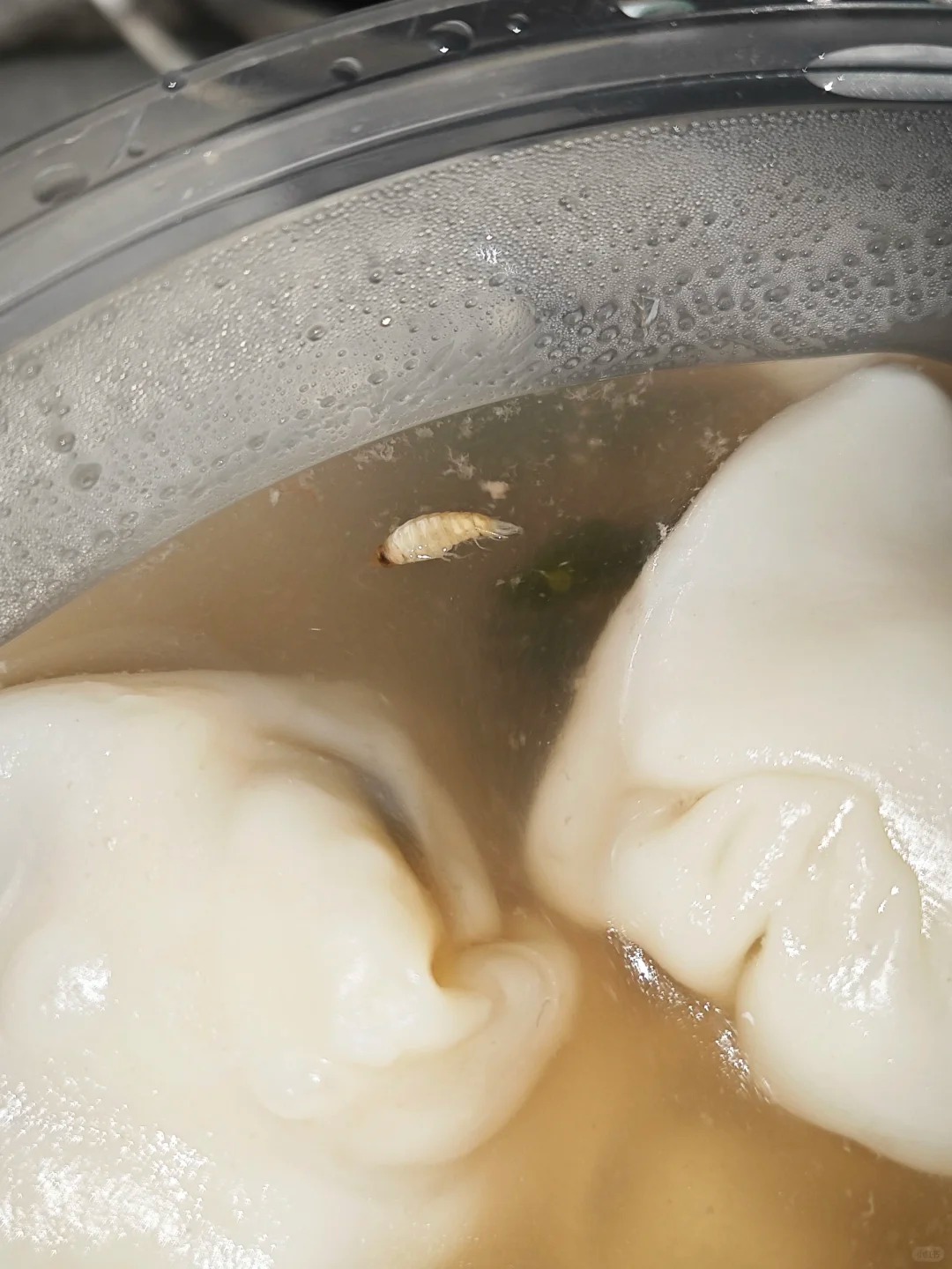 这个是虾吗，，怎么这么奇怪