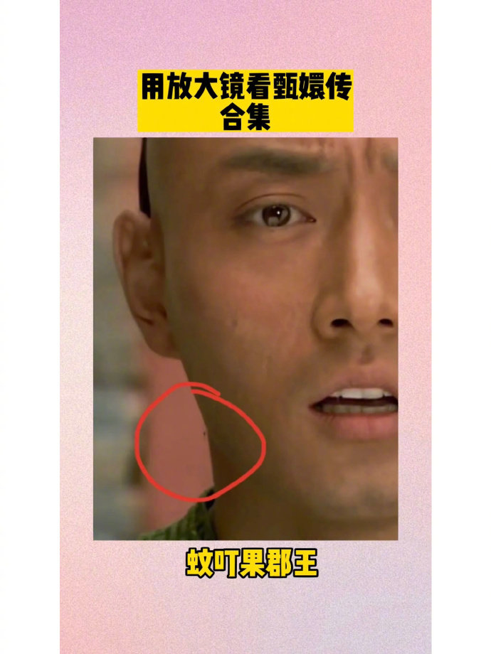 大家都是用放大镜看甄嬛传吗