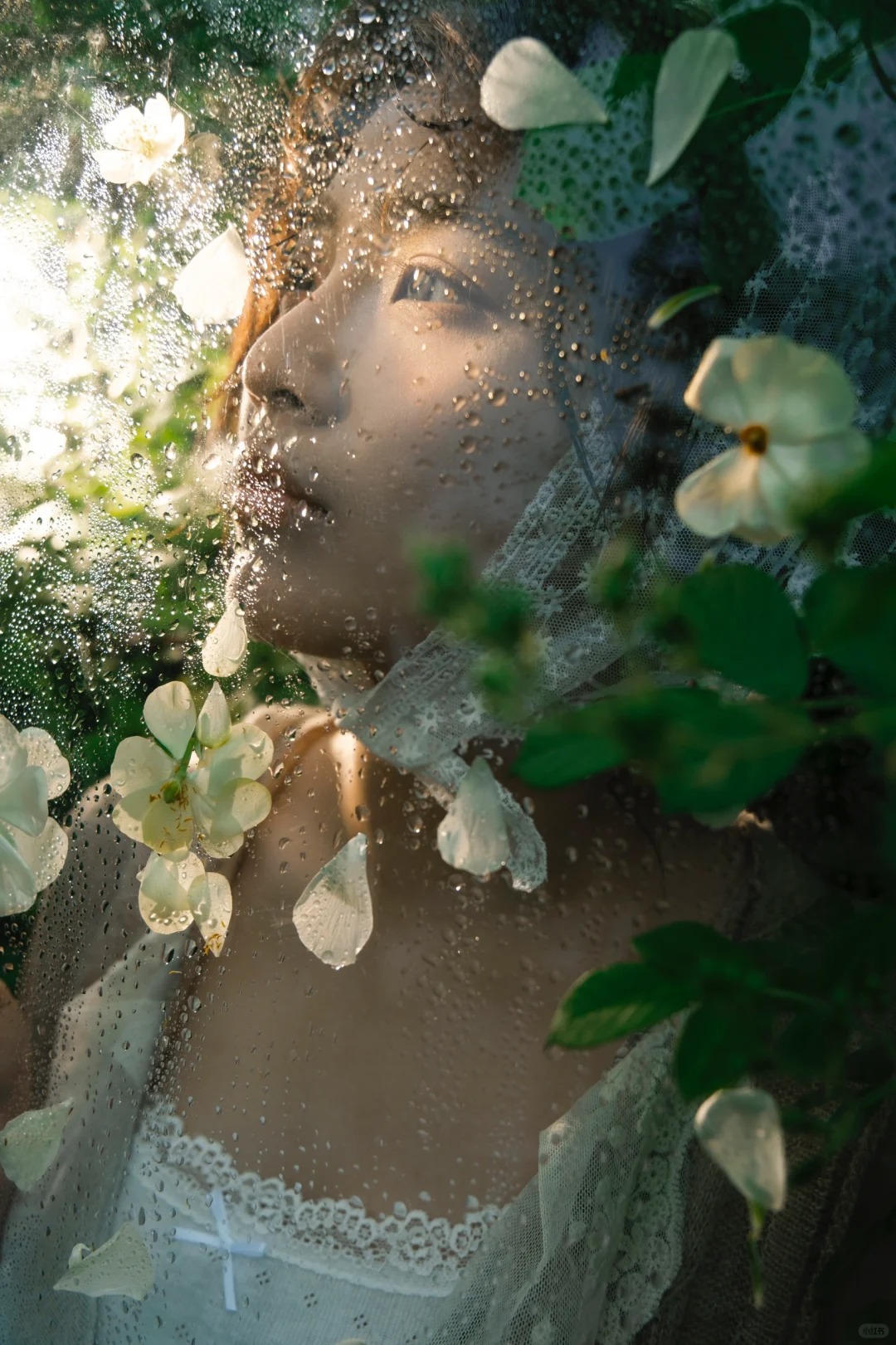 “我落难于一个久病的春天”
让我给你念诗吧，
一本书的开合是我蝴蝶般的脊梁。
如