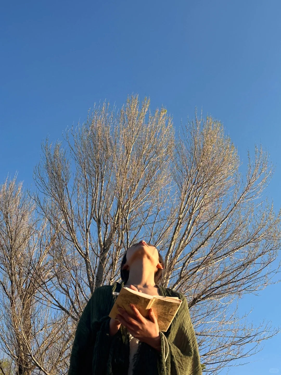 发点朋友圈品不了的细糠～
树是天空的脉搏～