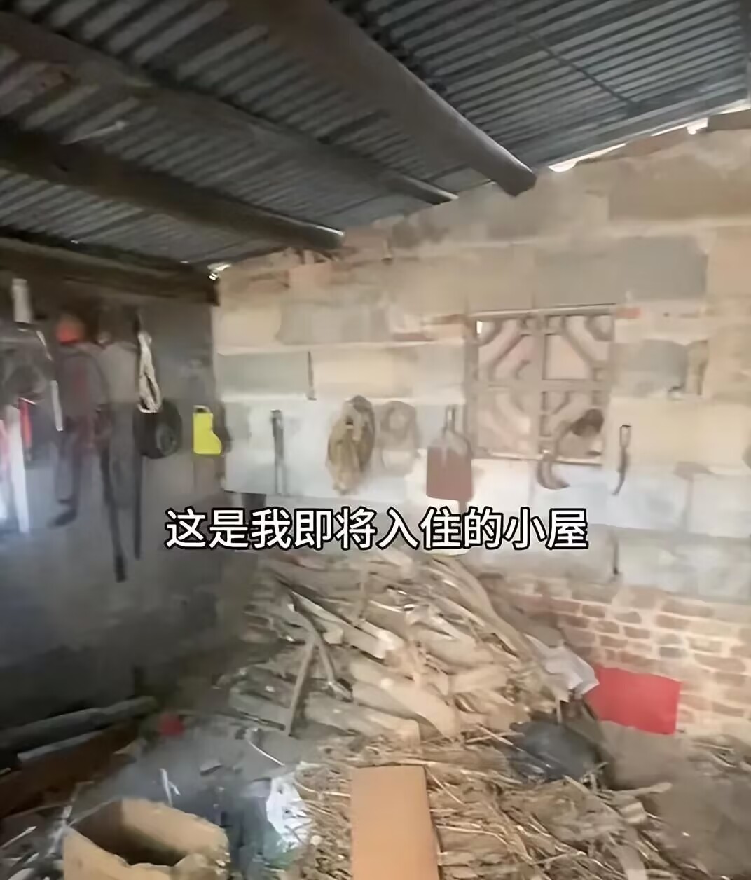 女子回老家住柴房，原因竟是弟弟已婚：担心弟媳不满，选择分开住
河南一名30多岁的