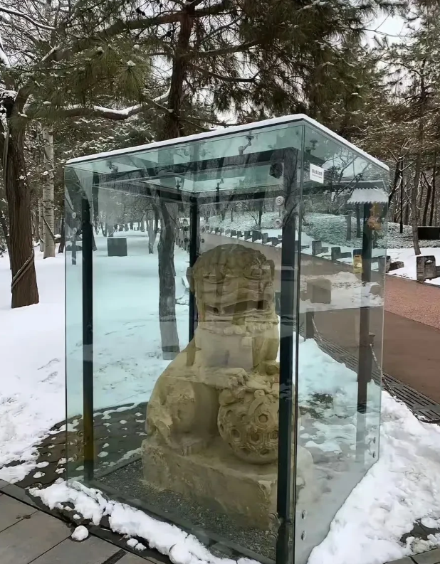 听闻某地有一尊1500年前的石狮子，相关人员为保护它，用玻璃罩将其罩住。

然而