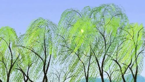 儿子感叹“活着真好”：生命的价值，从经历中领悟