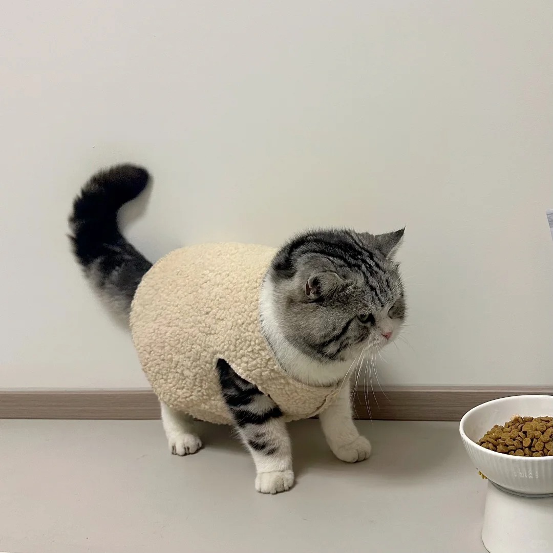 粮里撒药被它看见了