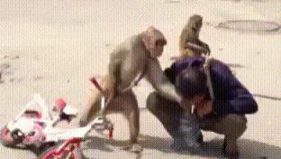 搞笑GIF：姑娘果然是回眸一笑百媚生啊