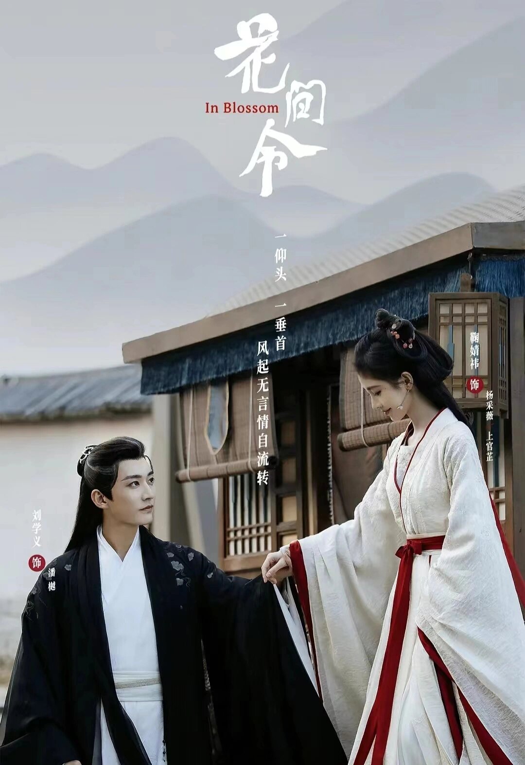 好剧推荐《花间令》