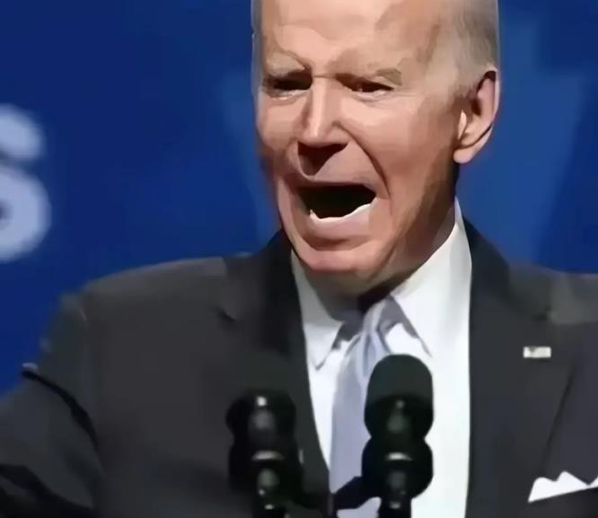 震惊！拜登智囊团放大招，主权基金横空出世，这是要重塑美国全球战略版图？
最近啊，