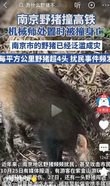 南京野猪撞高铁导致故障停车，随后机械师下车处置被撞身亡，责任该如何划分？

1、