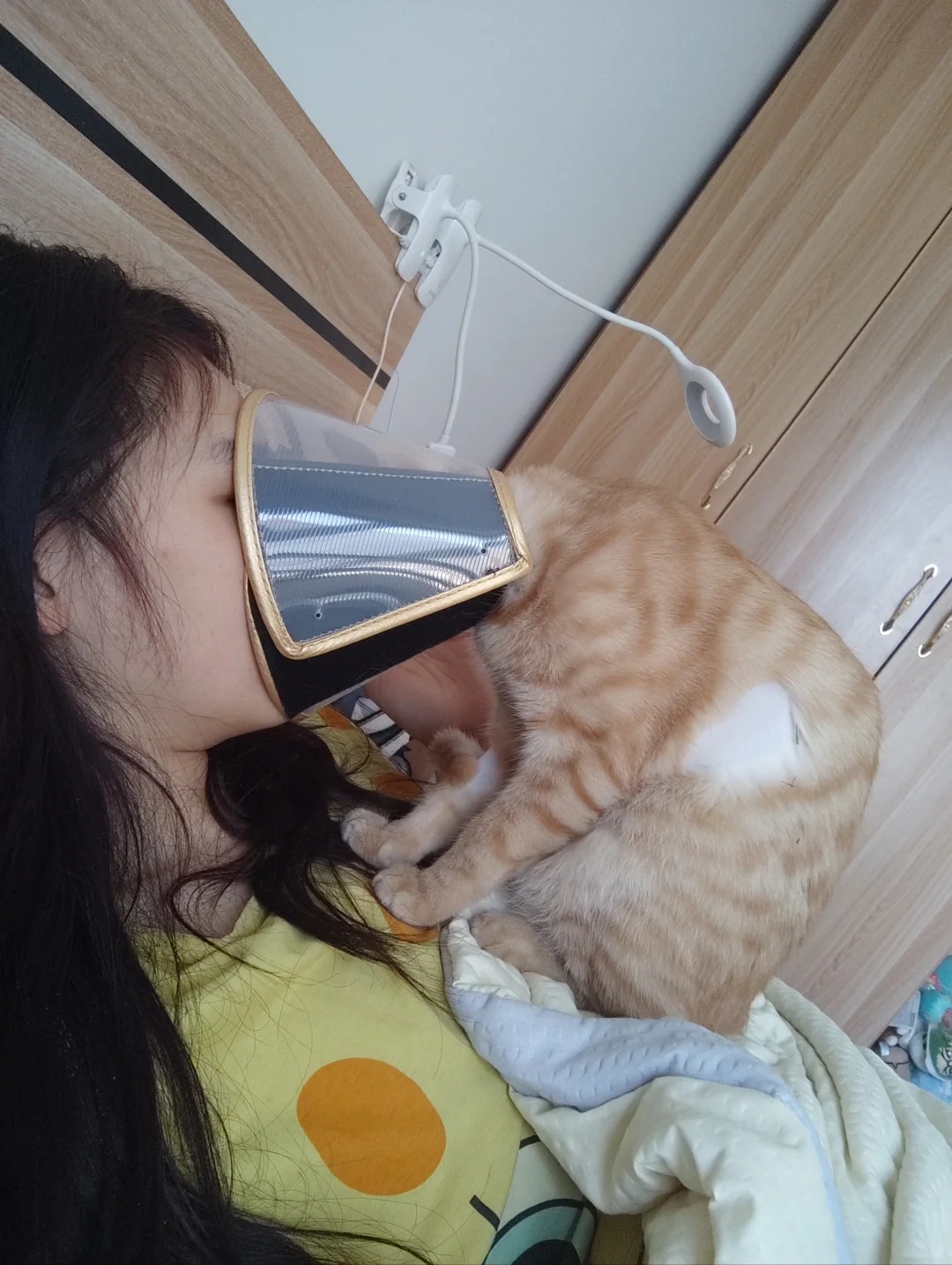 给猫带伊丽莎白圈后我是如何醒来的
谋杀亲妈了