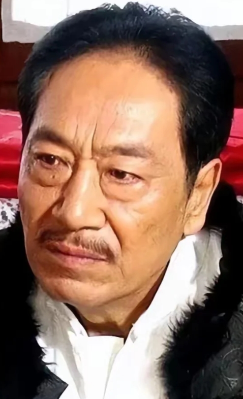 王奎荣：演艺界的璀璨之星