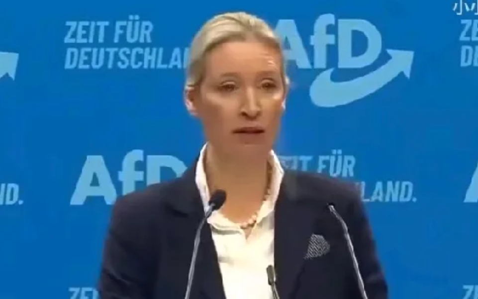 泽连斯基很害怕魏德尔成功当选！
要是魏德尔当选德国总理以后，肯定会对德国对乌克兰