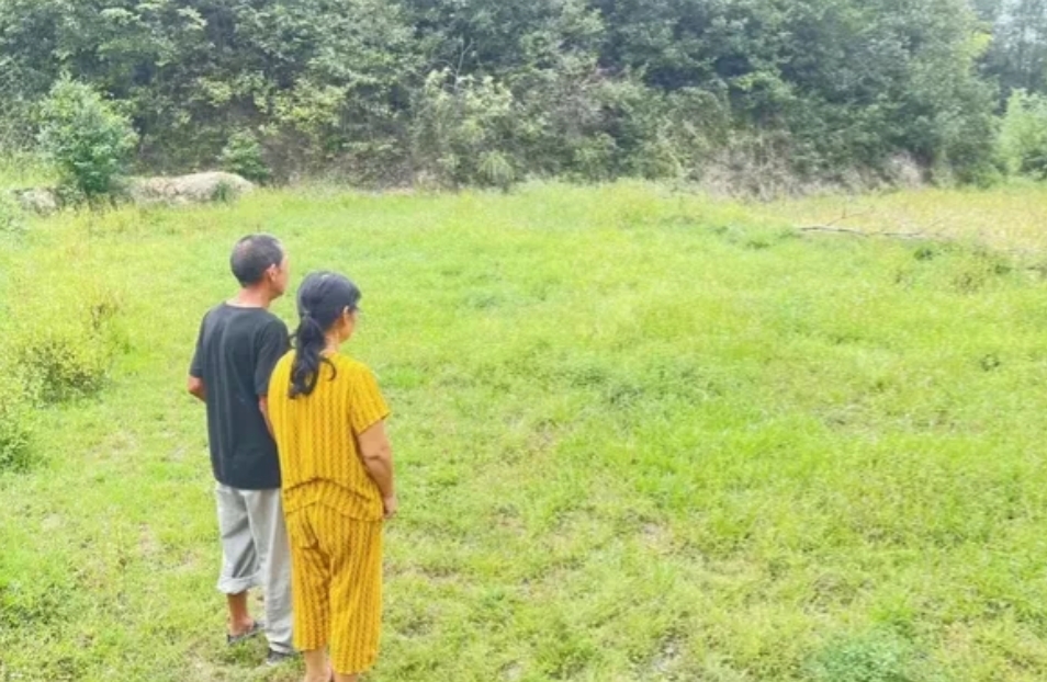 湖北崇阳，31岁男子跨省，用了14小时，和一女子登记闪婚，花了27.8万彩礼，婚