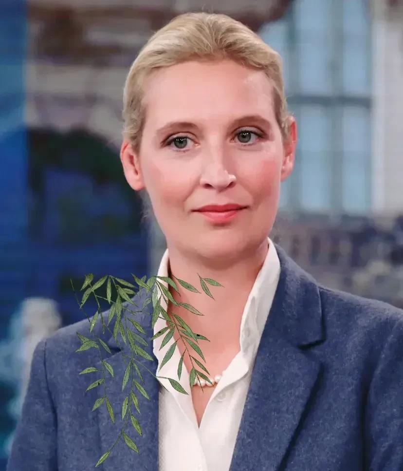 好消息！欧洲的铁娘子！
魏德尔：欧美及其盟友喜欢指责东大国不尊重主权，干涉内政