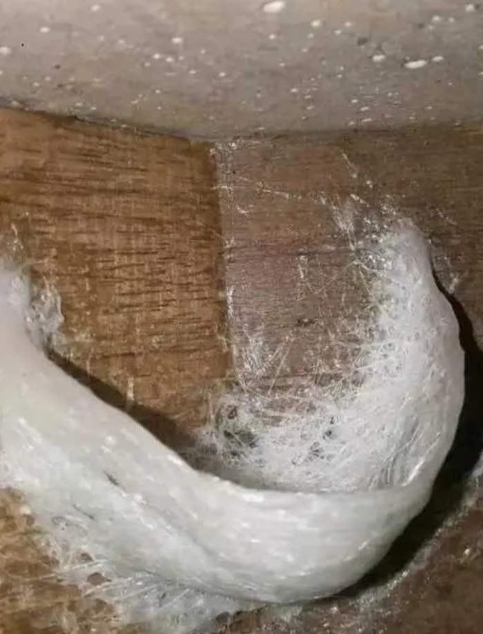 这燕窝可以直接摘下来炖吗？
