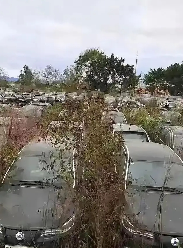 这是什么牌的汽车？有人知道吗
