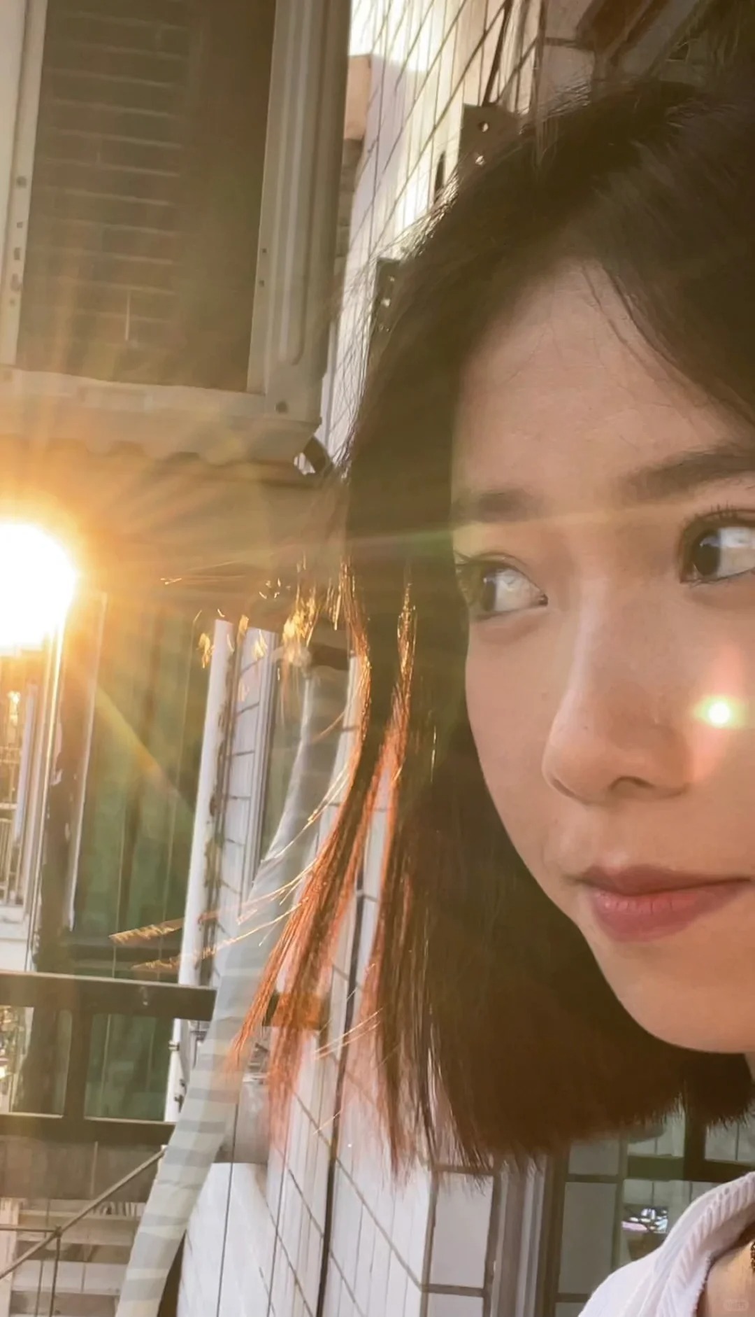 #梧桐山找搭子  下午一点左右有没搭子