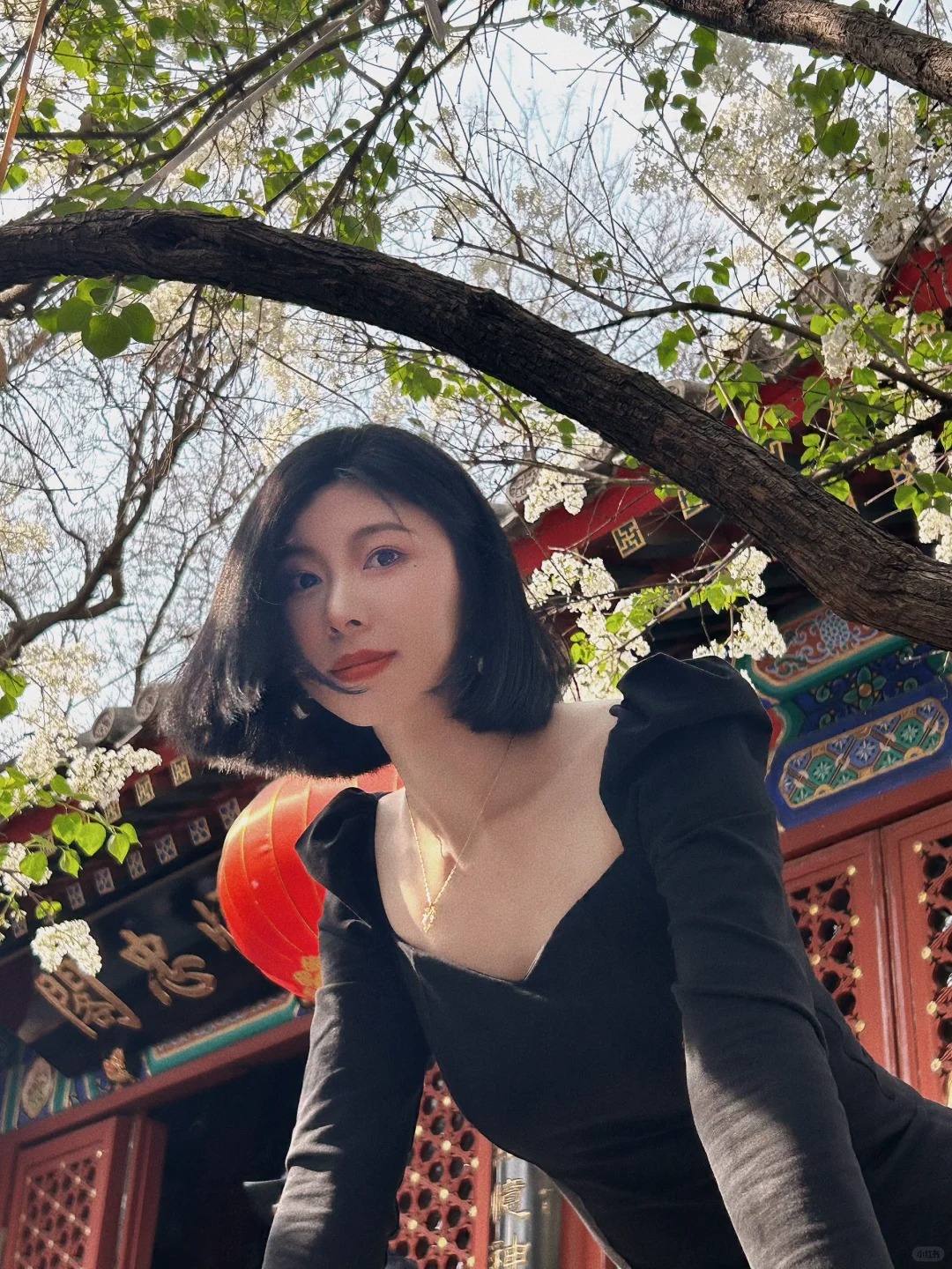 拍花也拍你🐾.
今年好喜欢丁香花