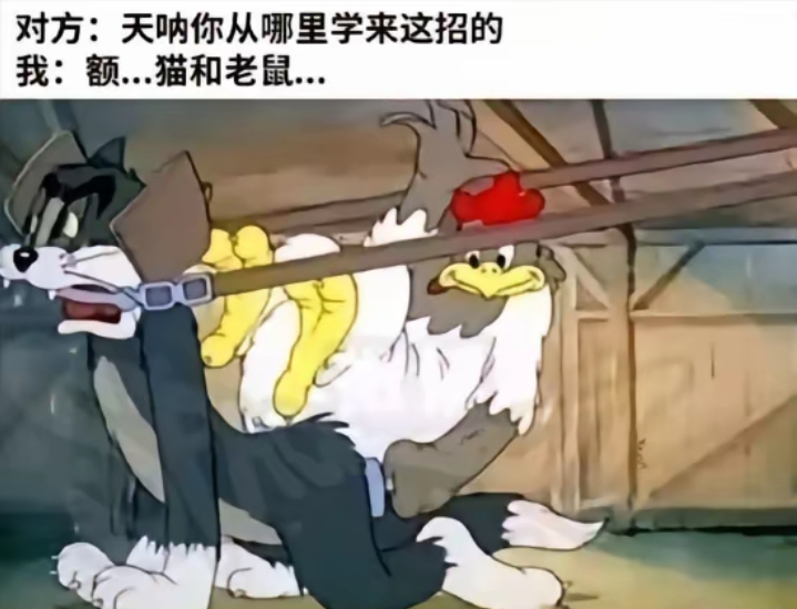 你是从哪学的？