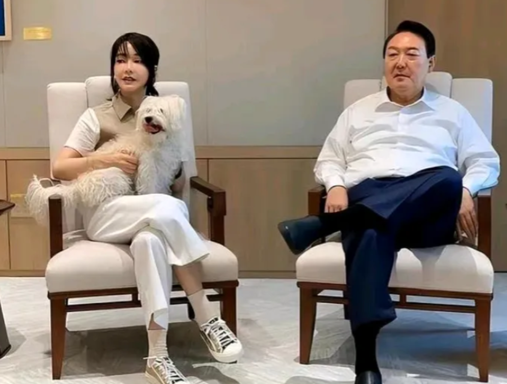 这就是尹锡悦的厉害之处——懂法，他是学过法律的检察官出身的总统，他说检查人员到总