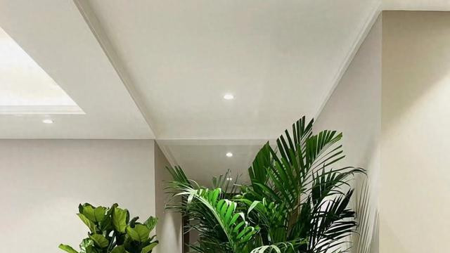 听我一句劝！小户型客厅摆放这3种绿植，空间显得大一倍