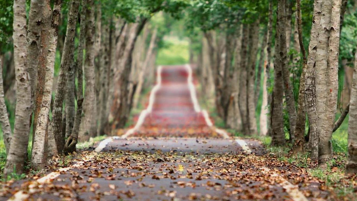 “大路有水，小路有鬼”是何意？并非迷信，而是老祖宗的劝世良言