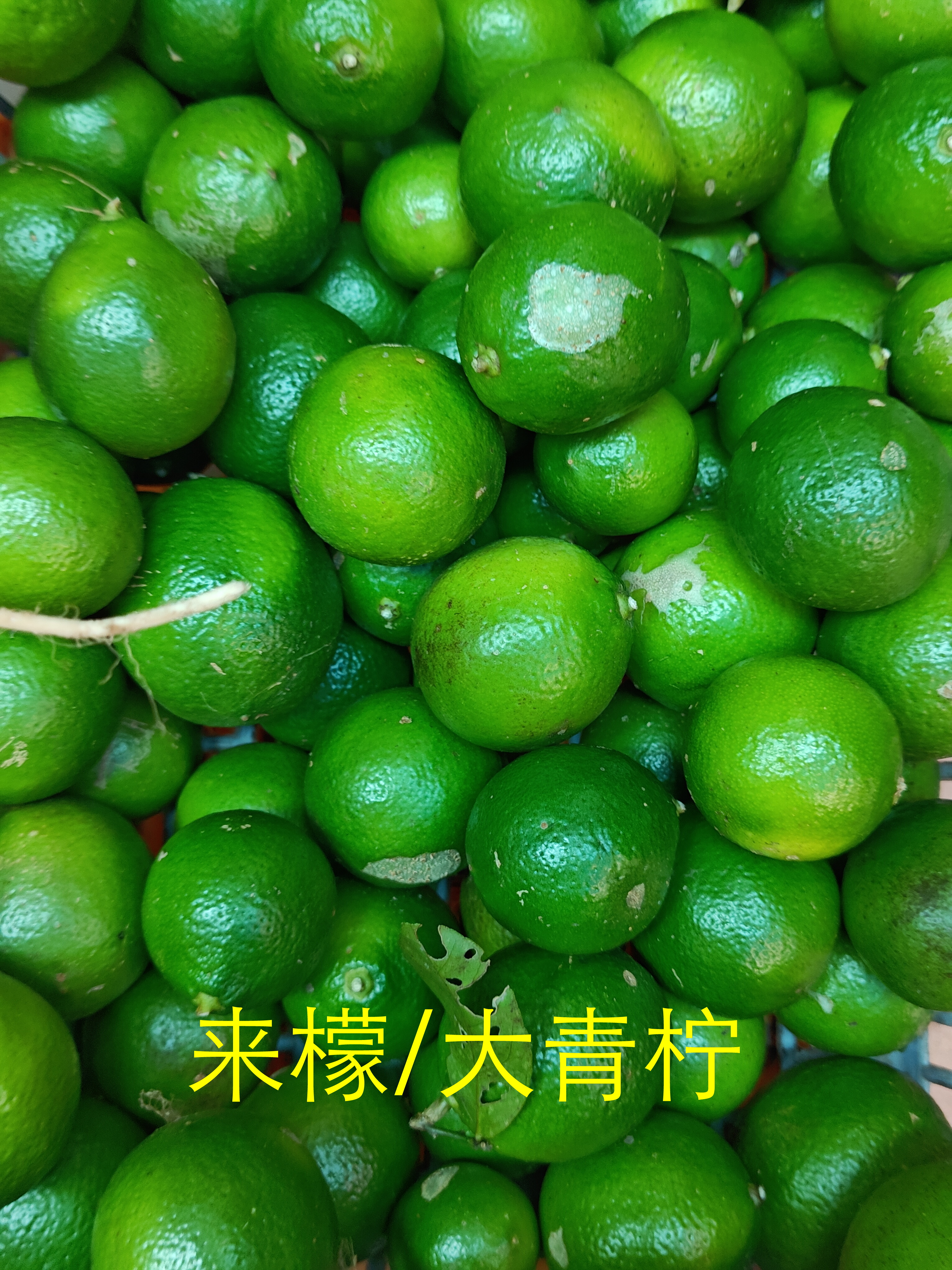 【来檬/大青柠】德庆特产店有大青柠卖（图一），也就是史军老师提到的来檬（Lime