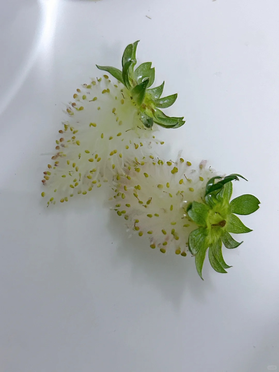 这草莓算吸成功了吗？
在网上看见吸草莓教程
试了一下真好玩🥳