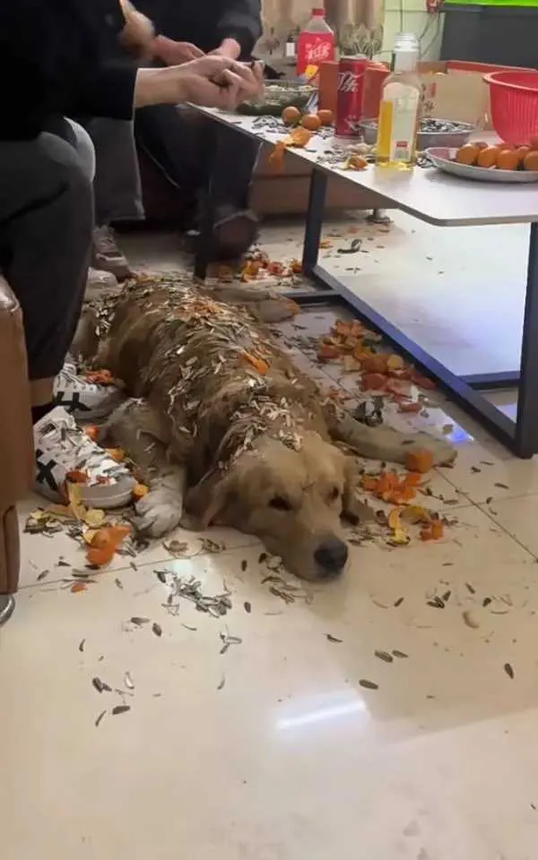不敢睁开眼，希望是我的错觉