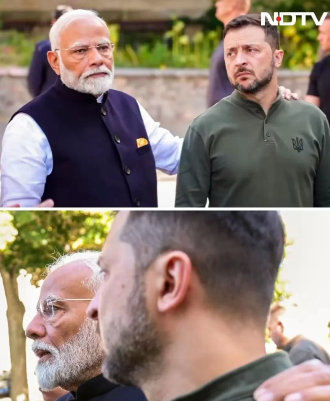 泽连斯基：过来带礼物了吗？
莫迪：没有！
泽连斯基：能只和我做朋友吗？
莫迪：不