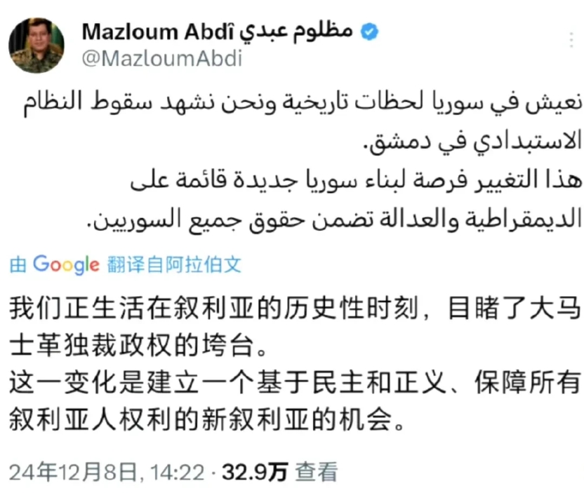 这人得有多蠢？才会相信叙利亚接下来会进入民主和人权的新社会