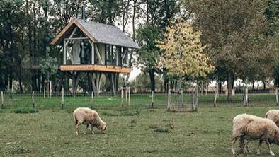 高高架起，事不关己，尽情回归自然