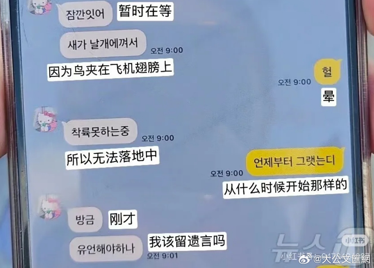 “一只飞鸟卡在机翼中，导致飞机无法着陆”，这是今天韩国客机坠毁前，机上一名乘客和