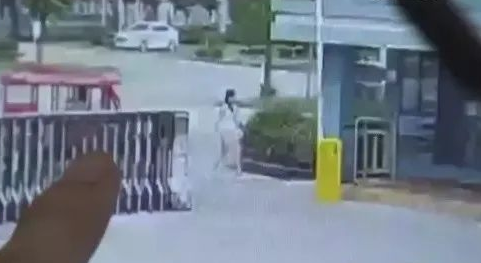 19岁少女的致命求职路：轻信陌生人的悲剧