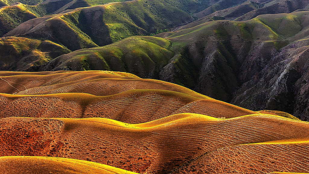 跌去80%的凯莱英，2025年能否逆袭？