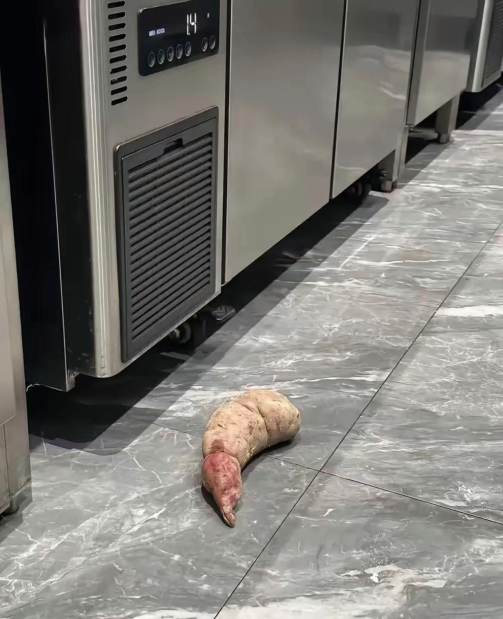 如果被这东西咬了，还去找什么科？（日常生活分享）