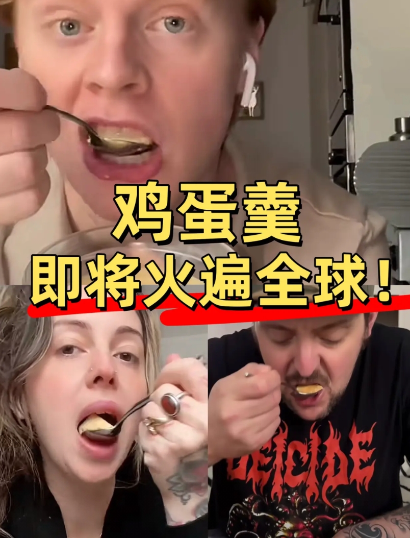 笑喷！已经看到十几个老外学做水蒸蛋了！

老美、德国、加拿大、墨西哥、英国网友甚