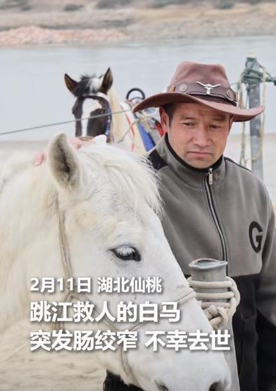 依立拜骑着他的白马英勇救人的事迹，感人至深，引起了社会的广泛关注。在二月四日，依