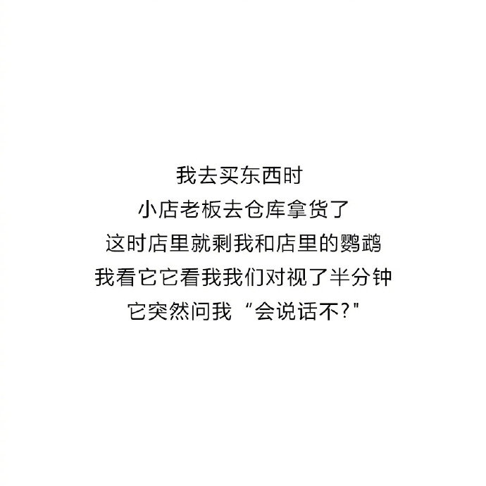 出门不敢和鹦鹉说话