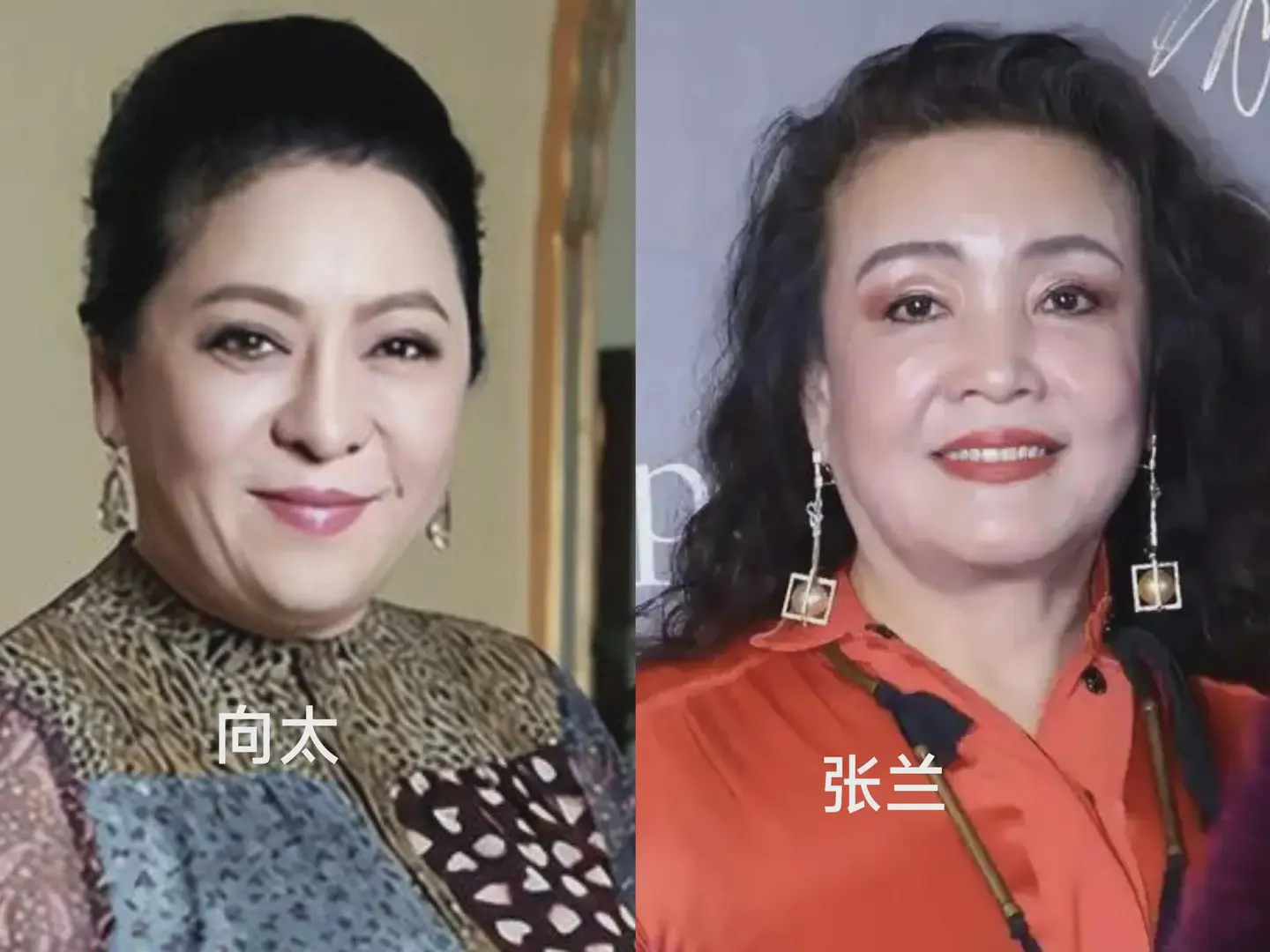 向太陈岚甩张兰八百条街 