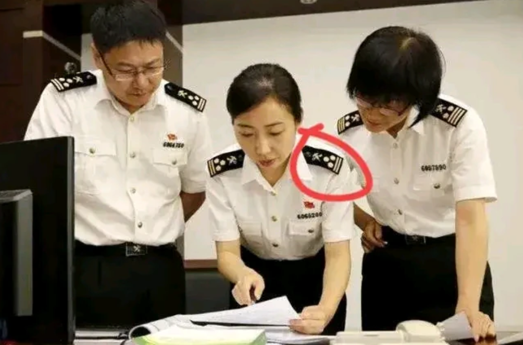 这是什么军种？属于什么级别？