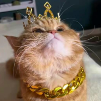 可可爱爱的小土豆