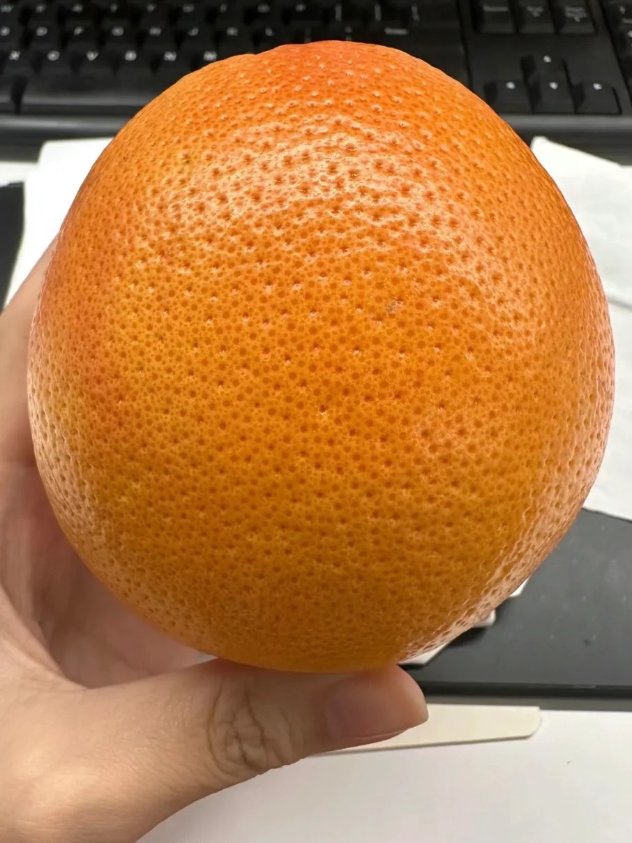 瞬间对缩毛孔失去兴趣。。。
试了好多收毛孔的法子，都没啥用，一美又太贵，动不动就