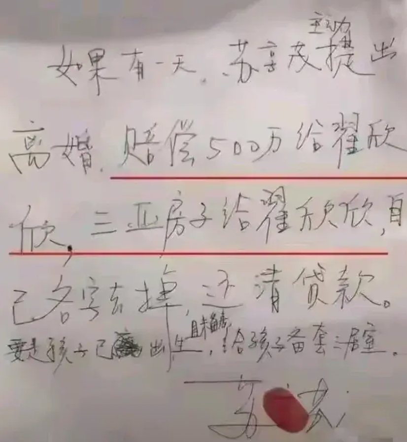 翟欣欣，一开始可能是真心和苏享茂过日子的。
看下图，苏享茂写的保证书。
字很难看