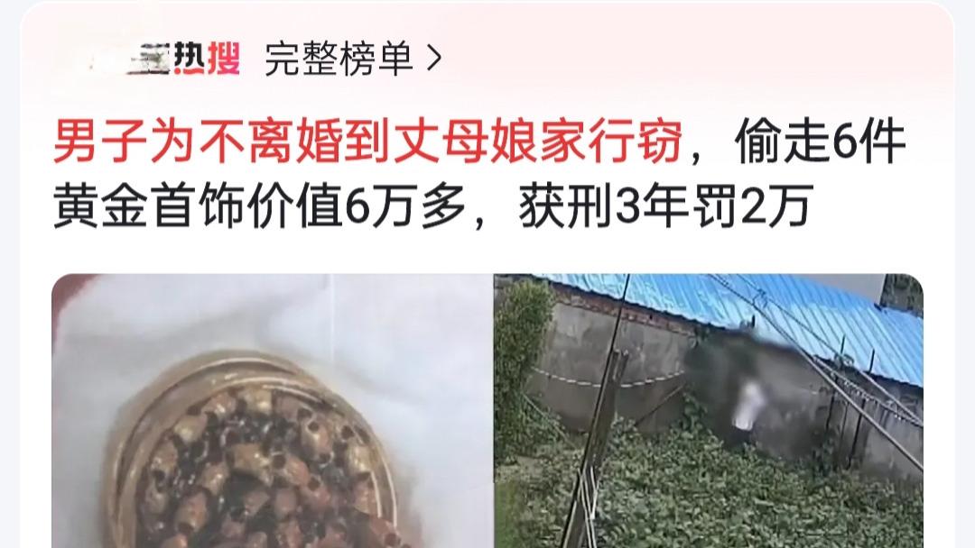 荒唐举动！男子为阻止离婚竟翻墙盗窃丈母娘家财物