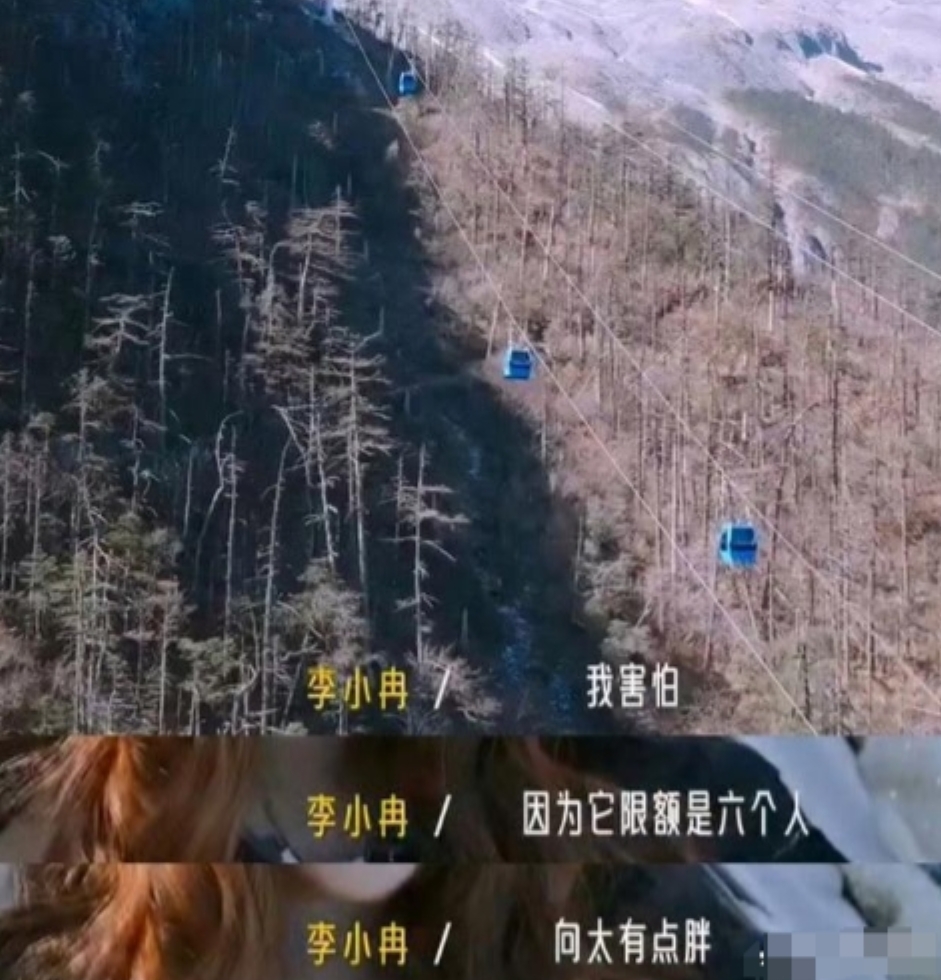 原来李小冉说话这么难听，怪不得倪萍说她没脑子，真是咎由自取。

在真人秀里，李小